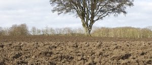 Proteger el campo, más importante que nunca