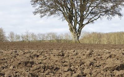 O seguro contribui para uma agricultura mais resiliente