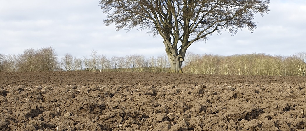 Proteger el campo, más importante que nunca